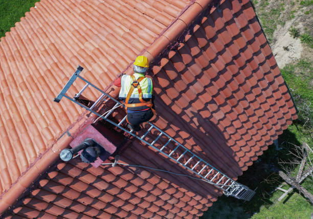 Best Sheet Metal Roofing  in Sweetwater, FL